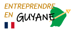 (c) Entreprendre-en-guyane.fr